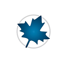 Maple